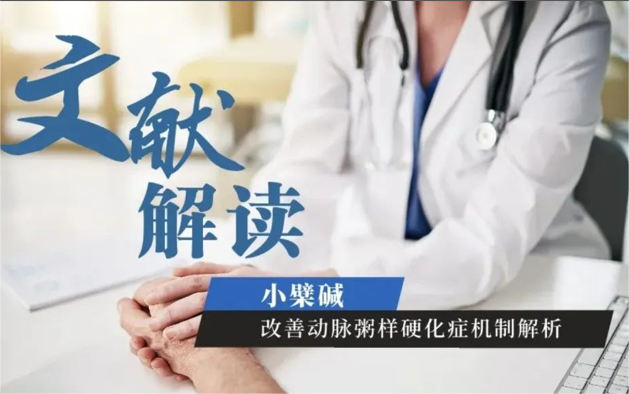 文獻(xiàn)解讀丨小檗堿，改善動脈粥樣硬化癥機制解析