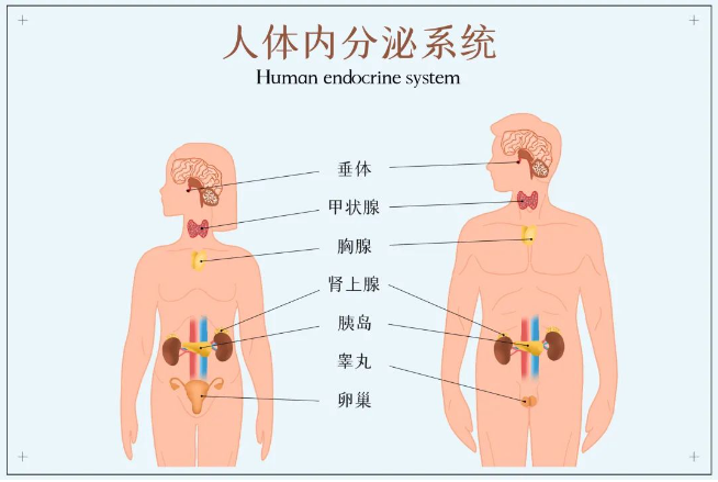 劍指水質(zhì)典型環(huán)境激素，助力新污染物監(jiān)測(cè)治理